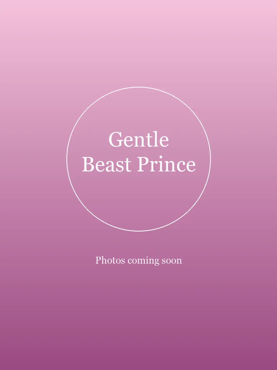 Gentle Beast Prince party character in Las Vegas