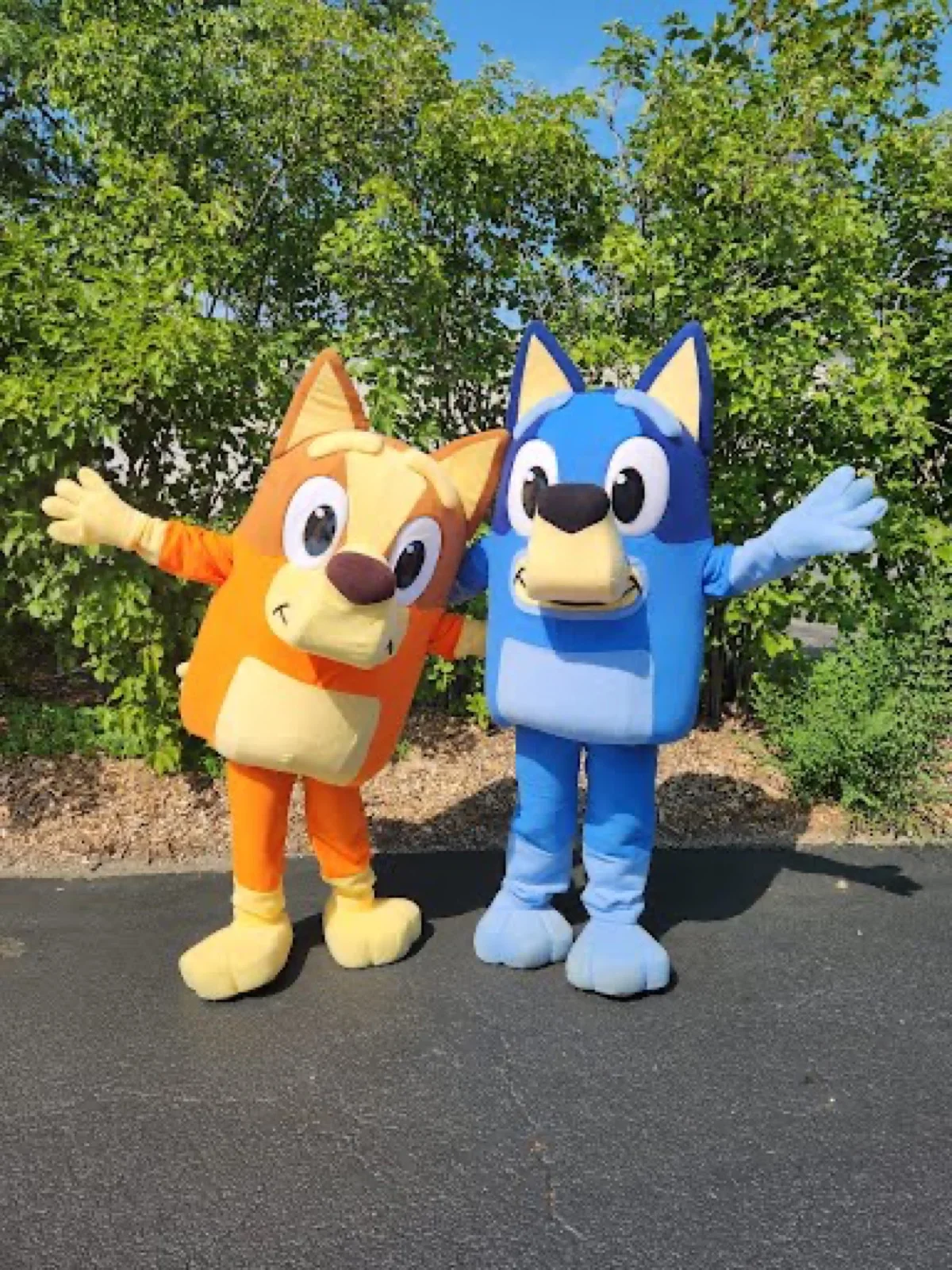 Blue Heeler Pup party character in Las Vegas