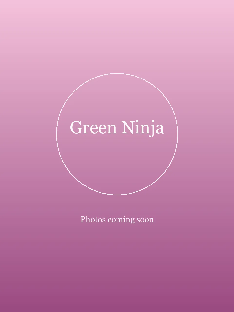 Green Ninja party character in Las Vegas