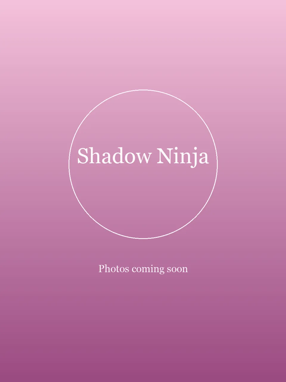Shadow Ninja party character in Las Vegas