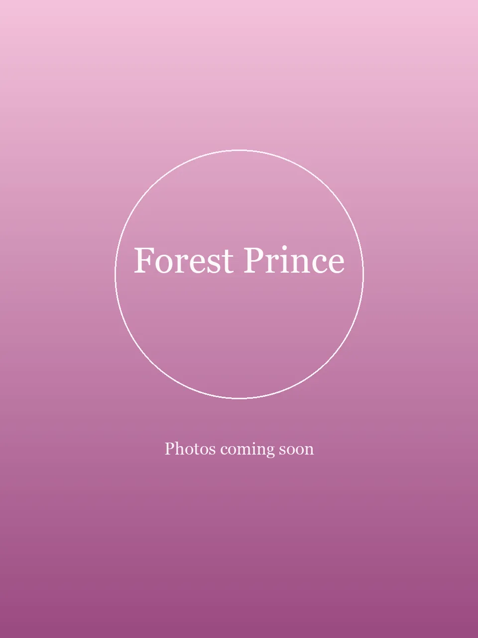 Forest Prince party character in Las Vegas