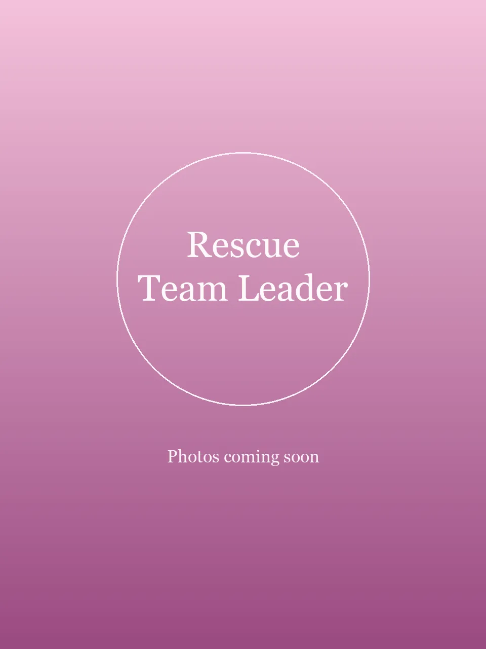 Rescue Team Leader party character in Las Vegas